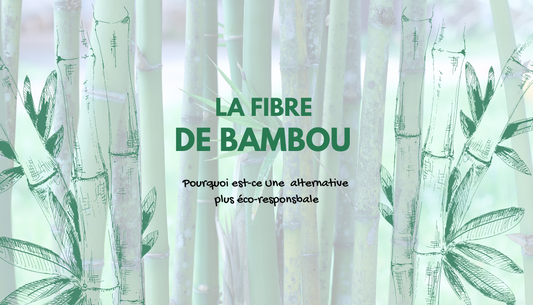 couverture de l'article fibre de bambou